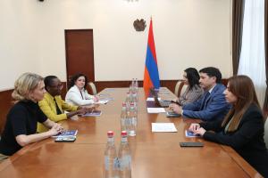 Նյութի նկարը