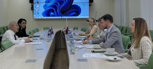 Նյութի նկարը