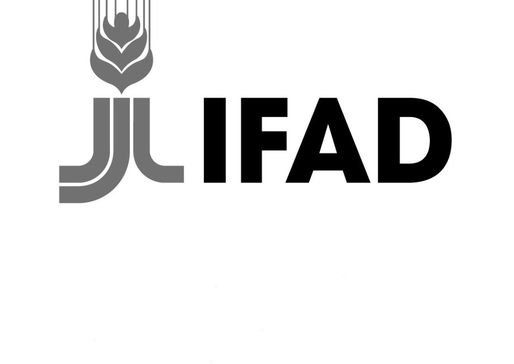 Գյուղատնտեսության զարգացման միջազգային հիմնադրամ (IFAD)